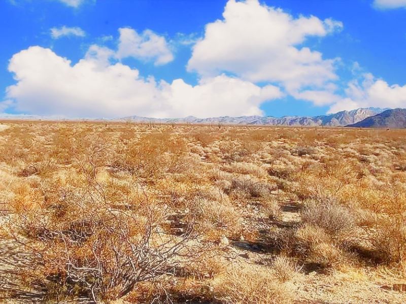 A Charming Homestead : Yucca : Mohave County : Arizona