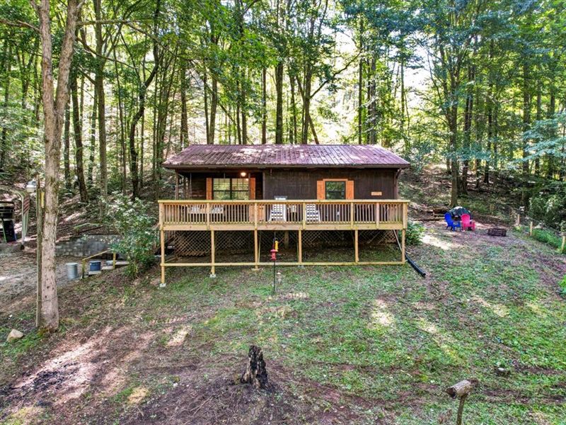 Norris Lake View Cabin in Woods : Caryville : Campbell County : Tennessee