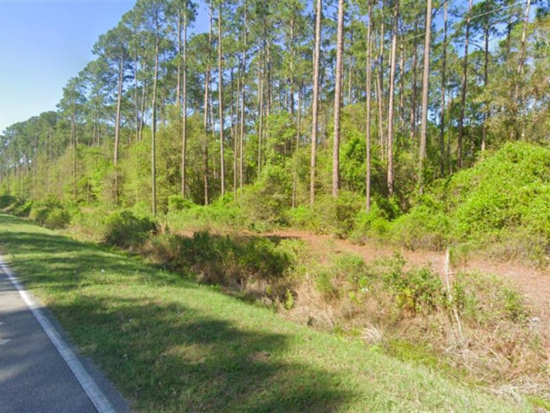 .68 Acre Land in Georgetown, FL : Georgetown : Putnam County : Florida