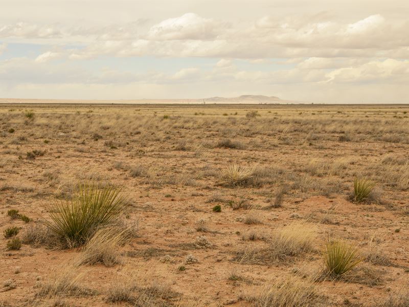 Your Weekend Getaway for $50/Month : Belen : Valencia County : New Mexico