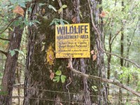 La, Caldwell 11.35 Acres : Columbia : Caldwell Parish : Louisiana