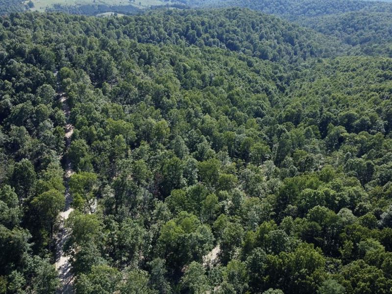 Rea Valley Acreage : Flippin : Marion County : Arkansas