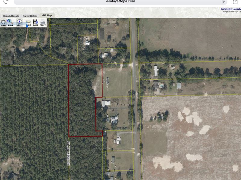 Beautiful Wooded Property : Mayo : Lafayette County : Florida