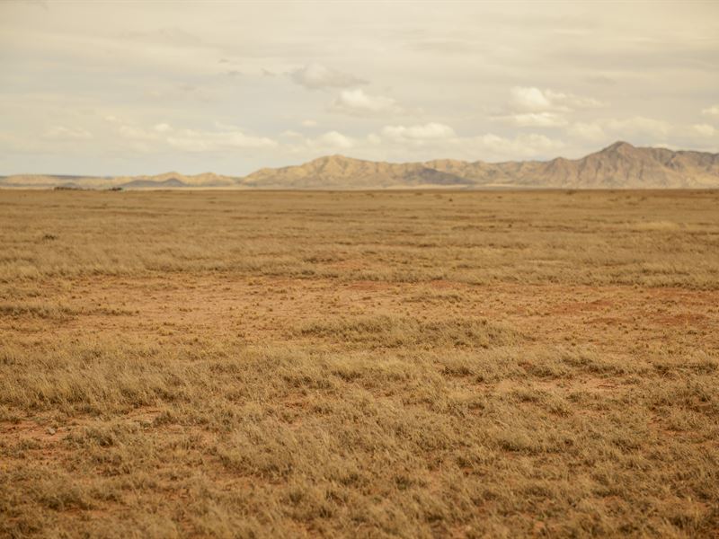 The Edge of Paradise for Only $200 : Belen : Valencia County : New Mexico