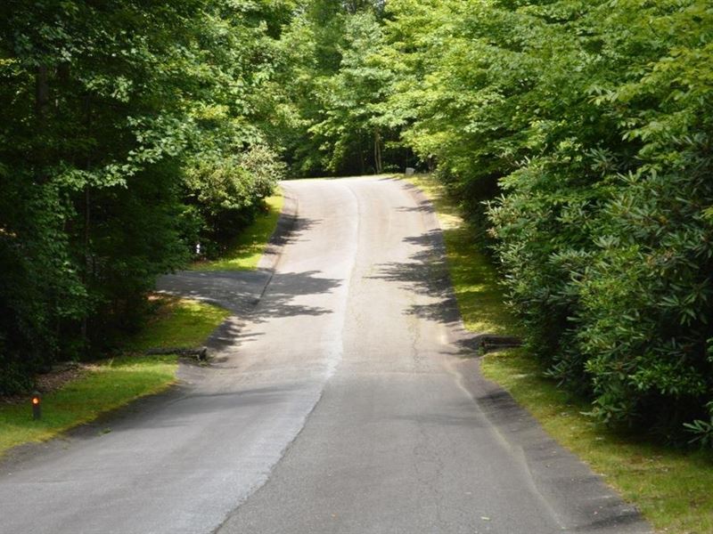 49 Cliff Ridge Drive Cleveland, SC : Cleveland : Greenville County : South Carolina