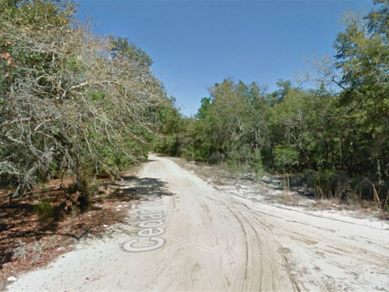 Almost 1 Acre with 4 Lots Together : Interlachen : Putnam County : Florida