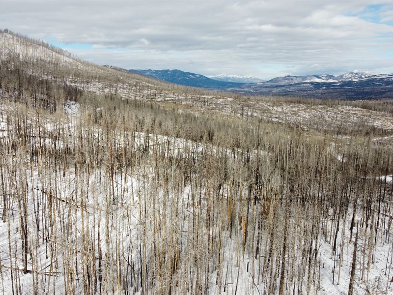 Paradise in Forbes Park, Colorado : Fort Garland : Costilla County : Colorado