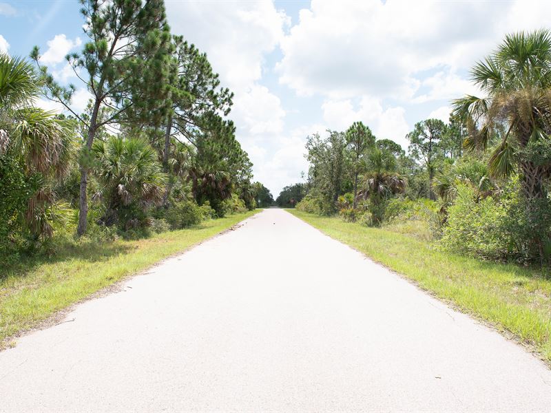 Paved Road, Power 126 Feet Away : Port Charlotte : Charlotte County : Florida
