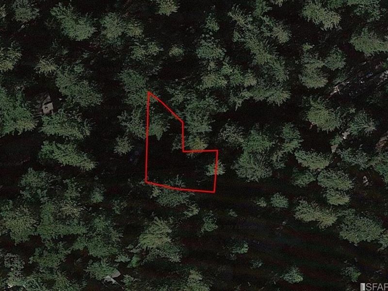 Beautiful Accessible Wooded Lot : Redwood Estates : Santa Clara County : California