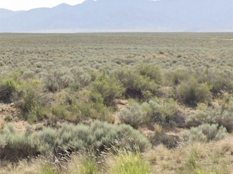 Cheap New Mexico Land, $850 : Belen : Valencia County : New Mexico