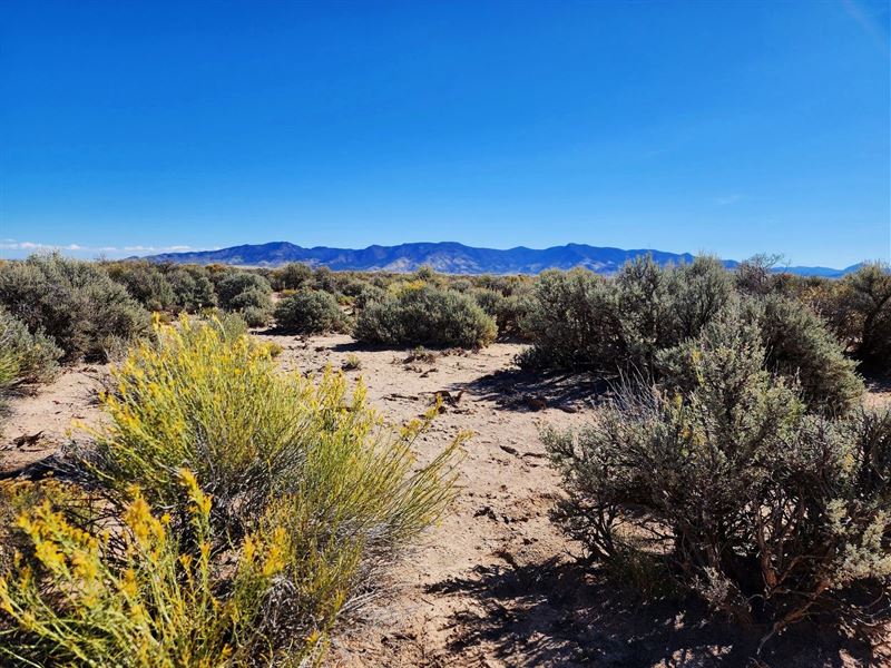 RV Friendly Camp Out of Utah Desert : Beryl : Iron County : Utah
