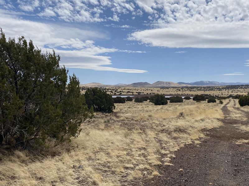 Escape to The Great Outdoors in AZ : Concho : Apache County : Arizona