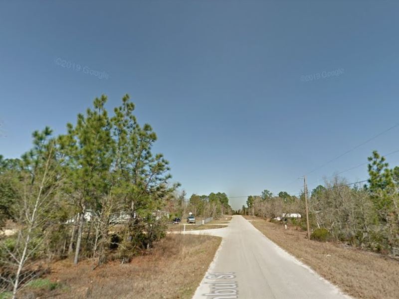 Stop Renting Start Owning $299 Down : Interlachen : Putnam County : Florida