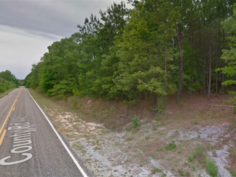 1 Acre in Bishopville, SC : Bishopville : Lee County : South Carolina