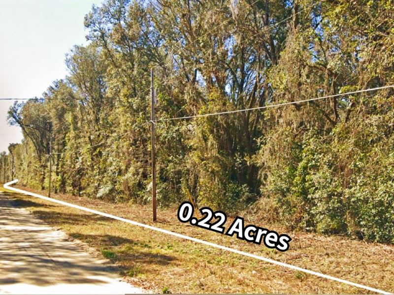 Mobile Homes / Build : Interlachen : Putnam County : Florida
