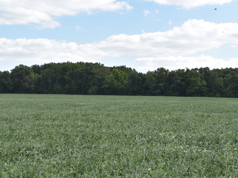Farm Acreage in Douglas County, IL : Oakland : Douglas County : Illinois