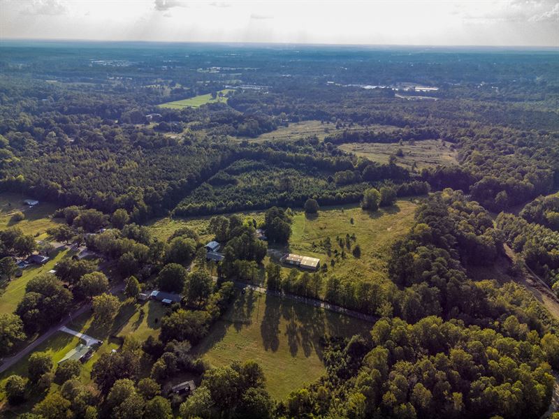 Unrestricted Land in Alcorn County : Corinth : Alcorn County : Mississippi