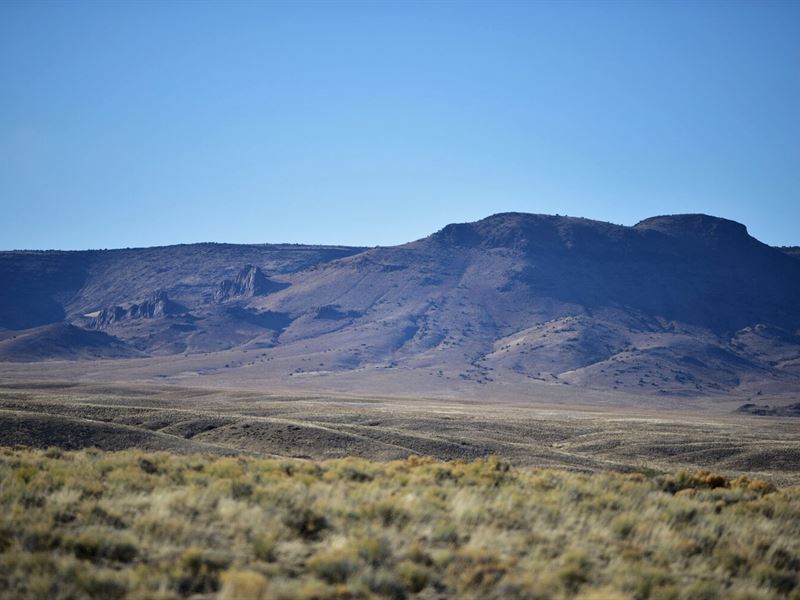 Rare Walk to The Rio Grande River : San Luis : Costilla County : Colorado
