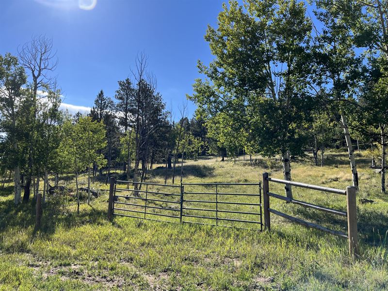 Homestake Acreage : Florissant : Park County : Colorado