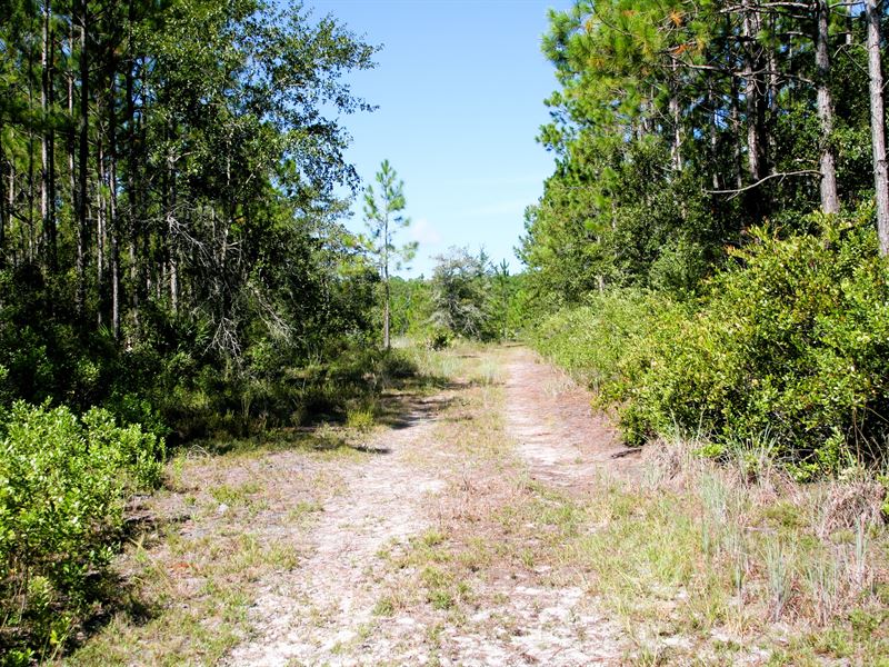 3.38 Acres, Potts Way, Hilliard : Hilliard : Nassau County : Florida