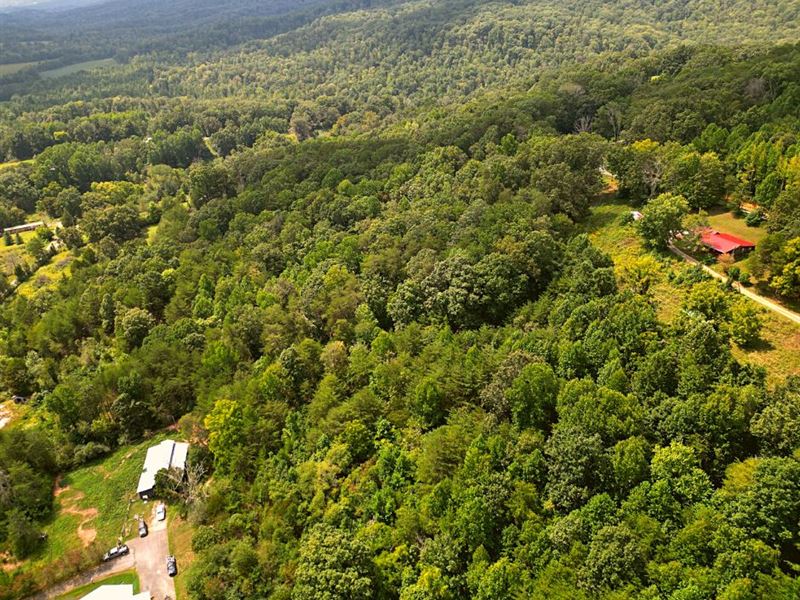 1.5 Acres Only 5 Min To Pikeville : Pikeville : Bledsoe County : Tennessee