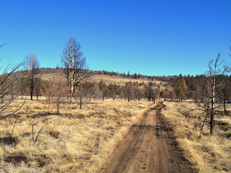 2.37 Ac Nearby Reservoirs, Forests : Bonanza : Klamath County : Oregon