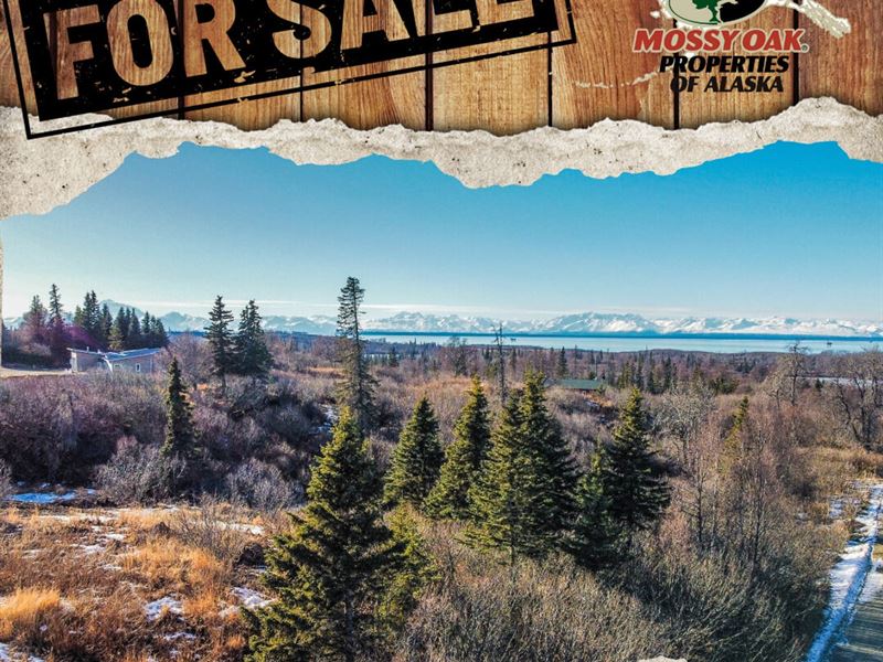 Big Lot, 2.23 Acres View of Mountai : Nikiski : Kenai Peninsula Borough : Alaska