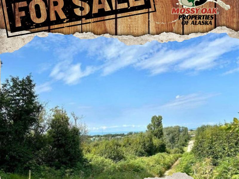 2.17 Acres Nikiski View Lot of Moun : Nikiski : Kenai Peninsula Borough : Alaska