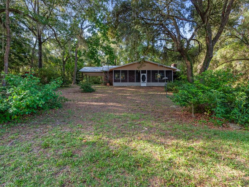 You Won't Want to Miss This : Melrose : Putnam County : Florida