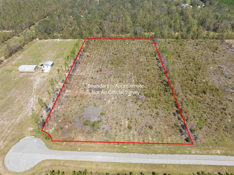 4.92 Ac Partially Cleared : Live Oak : Suwannee County : Florida