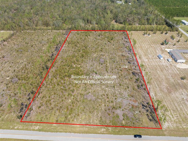 4.95 Ac Partially Cleared Lot : Live Oak : Suwannee County : Florida
