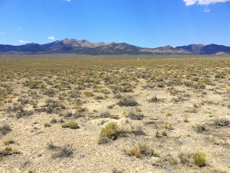 2 Acres of Agriculture, Mobile Home : Elko : Elko County : Nevada
