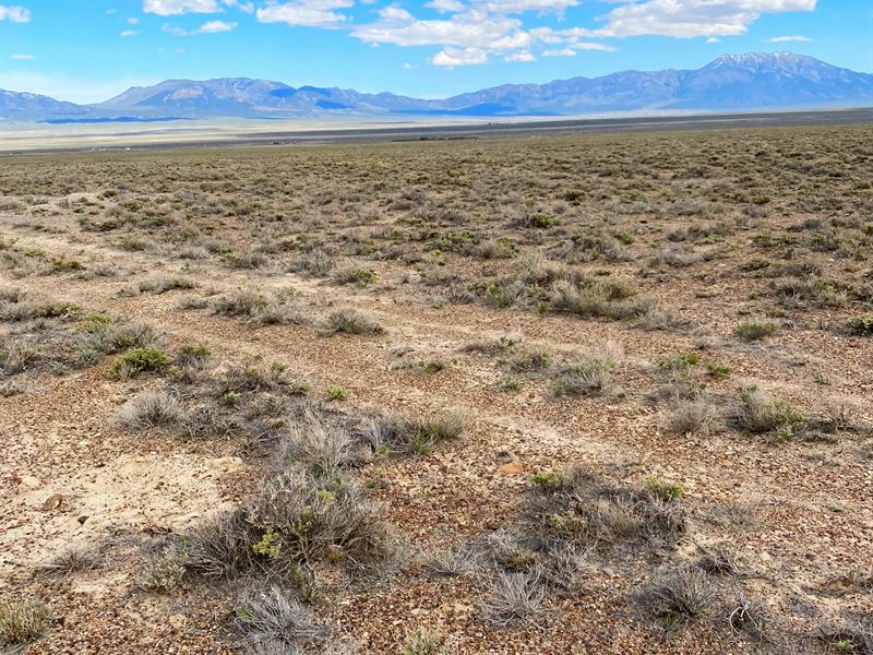 Invest in Your New Rural Home : Elko : Elko County : Nevada
