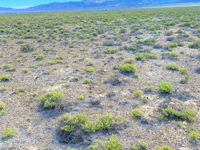 Park Your RV for Recreation : Elko : Elko County : Nevada