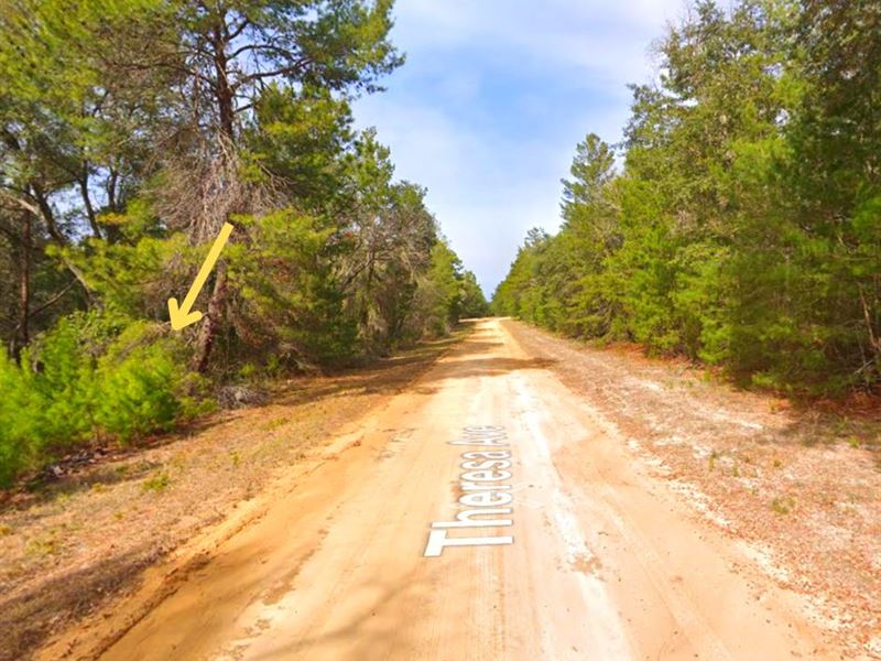 Build Your Slice of Paradise in FL : Interlachen : Putnam County : Florida