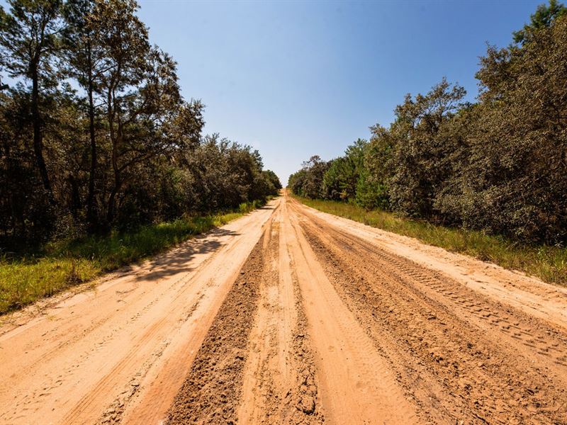 Your Recreational Oasis Awaits : Interlachen : Putnam County : Florida