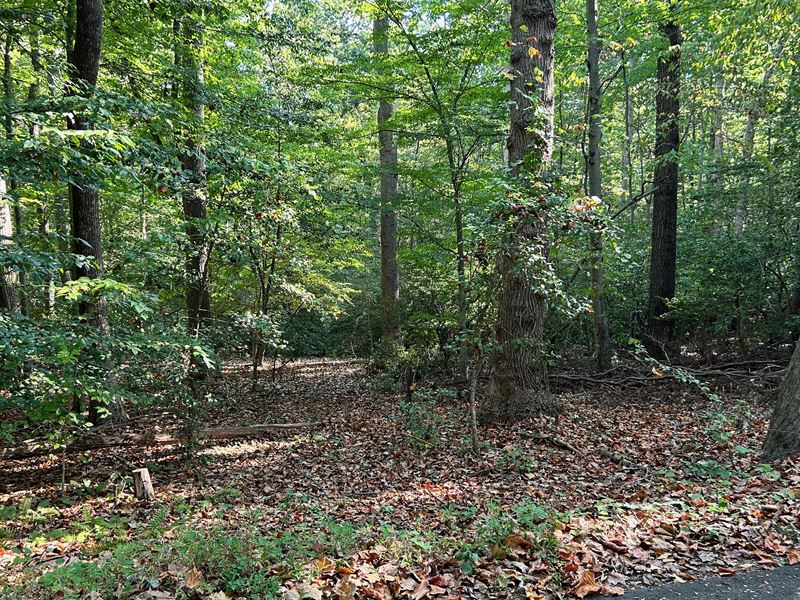 1.23 Acres Near Chesapeake : Lusby : Calvert County : Maryland