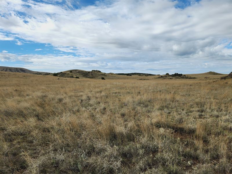 Camp on Your on 0.91 Acre : Concho : Apache County : Arizona