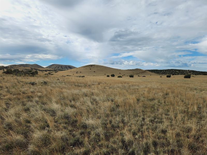 Park Your 5th Wheel on 0.91 Acres : Concho : Apache County : Arizona