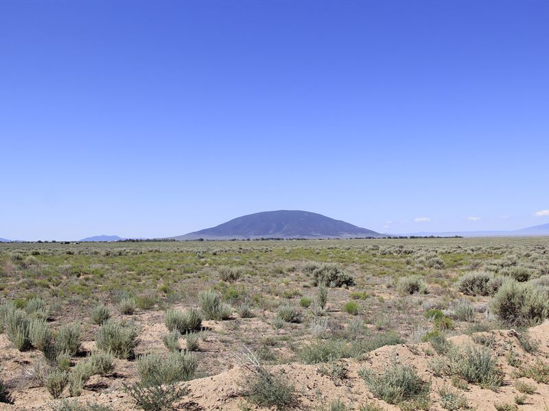 Dream Farm in Colorado Mountains : Mesita : Costilla County : Colorado