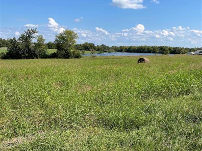 2.7 Acre Lot Near Hope Hull : Hope Hull : Lowndes County : Alabama