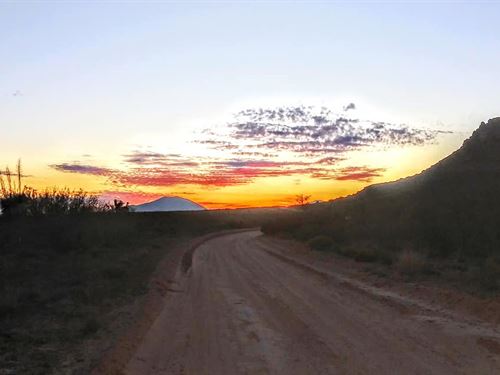 Own Now, 20 Ac $279/Mo, No Zoning : Sierra Blanca : Hudspeth County : Texas