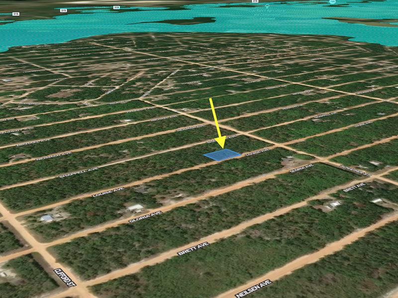 Your Future Retirement Oasis Awaits : Interlachen : Putnam County : Florida