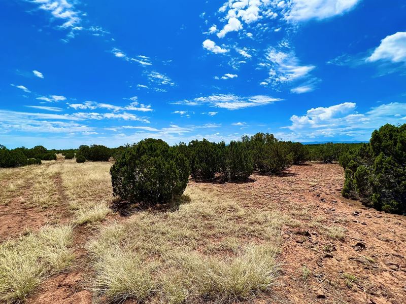 RV Friendly Lot : Vernon : Apache County : Arizona