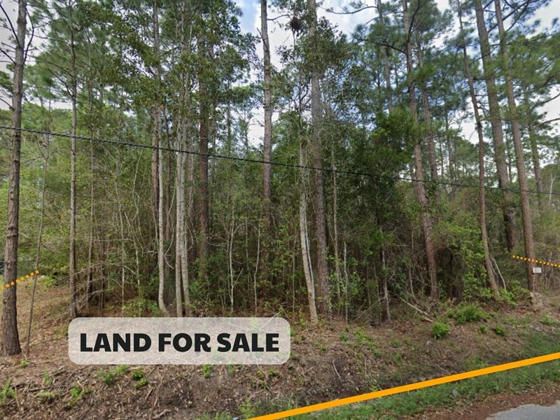 Land for Sale in Santa Rosa County : East Milton : Santa Rosa County : Florida