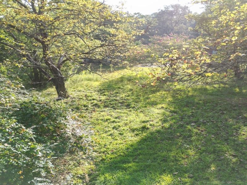 .4747 Acres in Lowndes County in Co : Columbus : Lowndes County : Mississippi