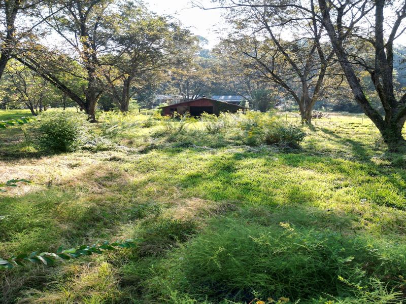 2.1 Acres in Lowndes County in Colu : Columbus : Lowndes County : Mississippi