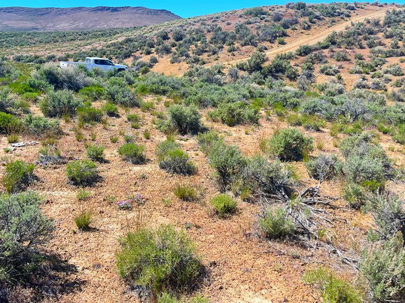 Perfect Campsite Location : Elko : Elko County : Nevada