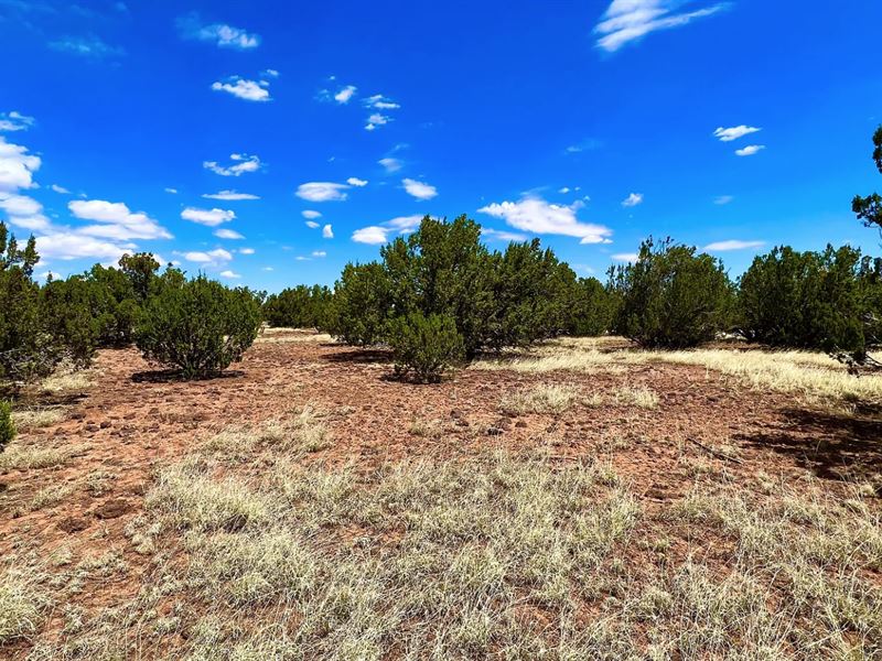 RV Friendly Double Lot : Vernon : Apache County : Arizona