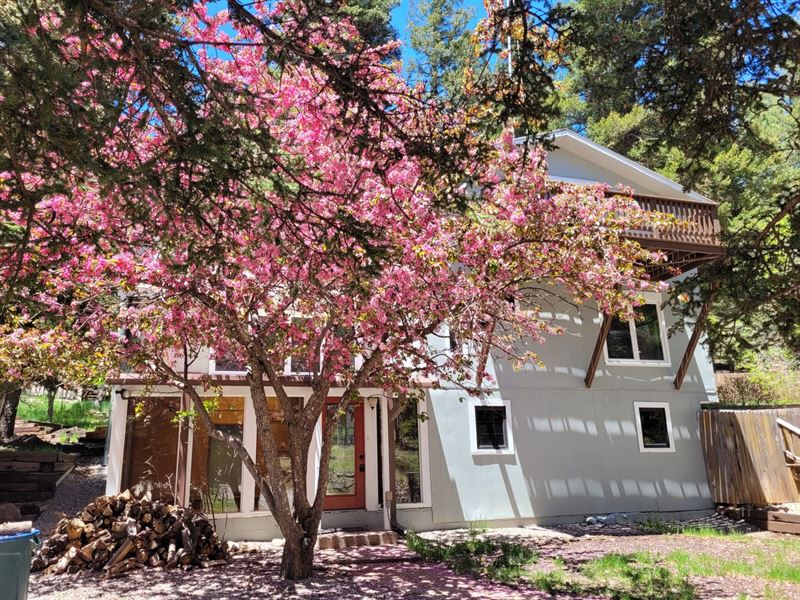 600 Chautauqua : Cloudcroft : Otero County : New Mexico